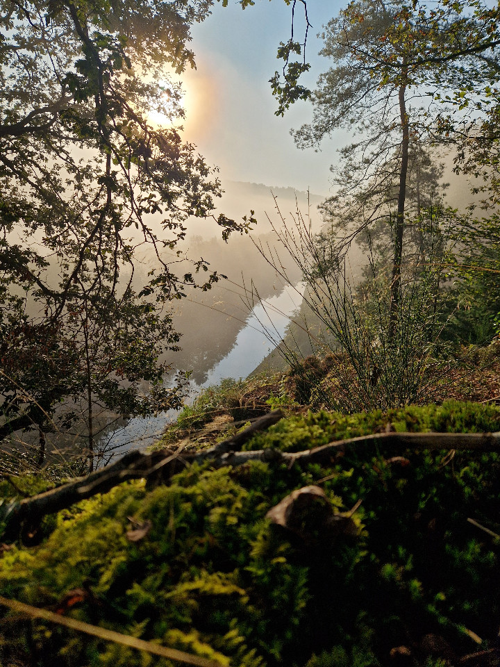 GreenGo Domaine de la Forestière