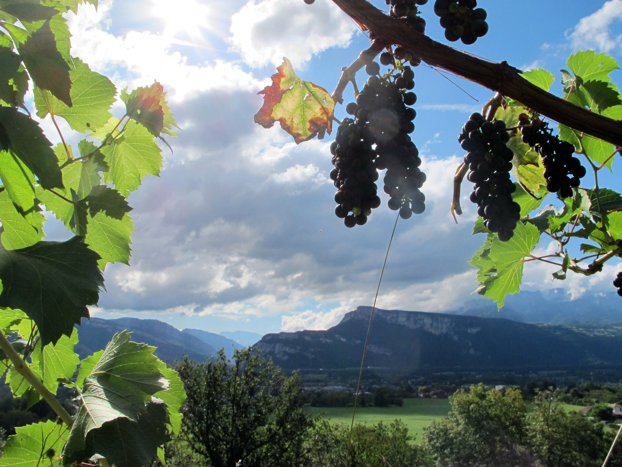  Isère À la campagne