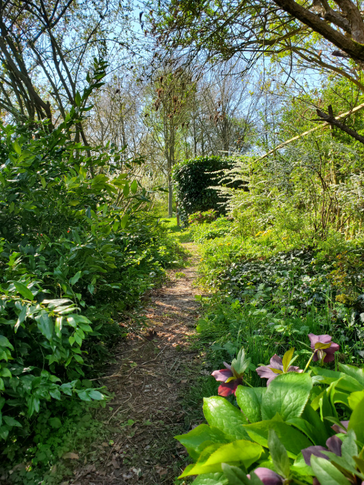 GreenGo Le Jardin des Papillons, Gîte et chambre d'hôtes à Saint Fraimbault
