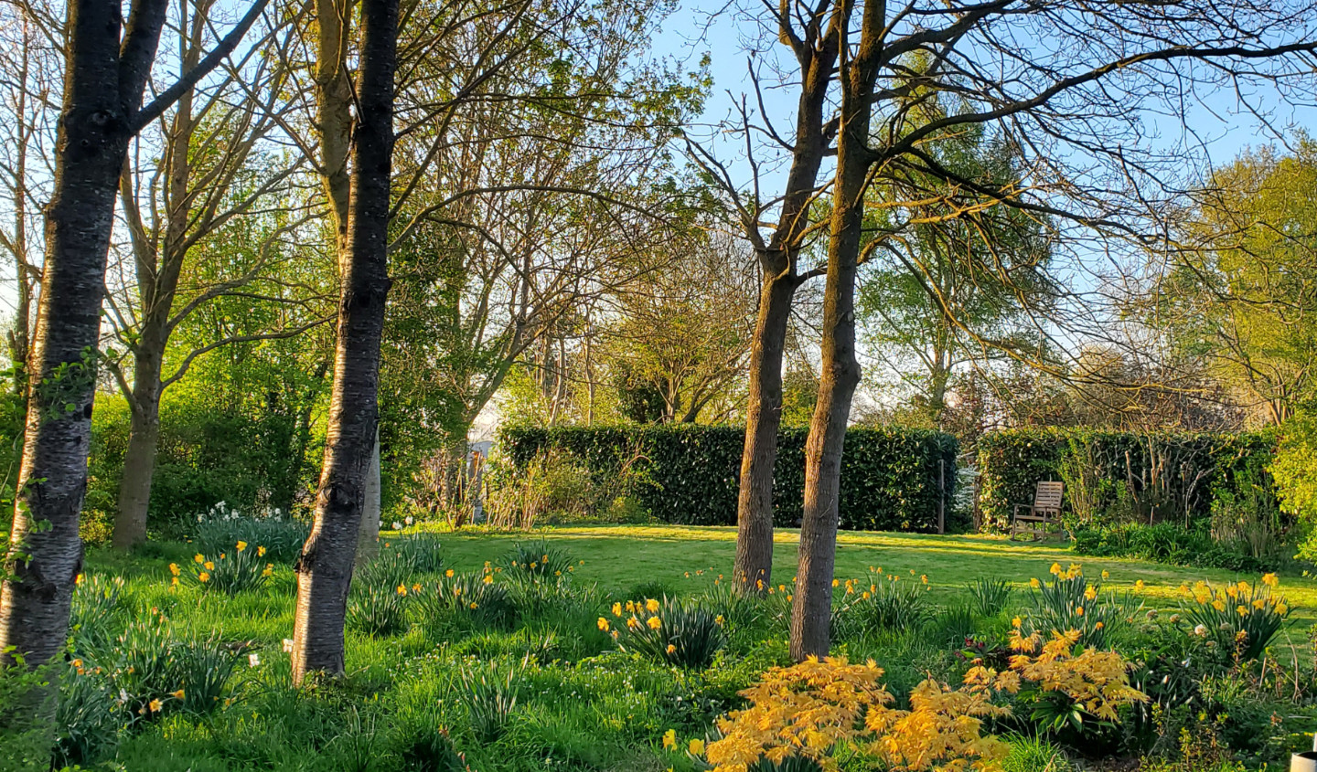 Hôte GreenGo: Le Jardin des Papillons, Gîte et chambre d'hôtes à Saint Fraimbault
