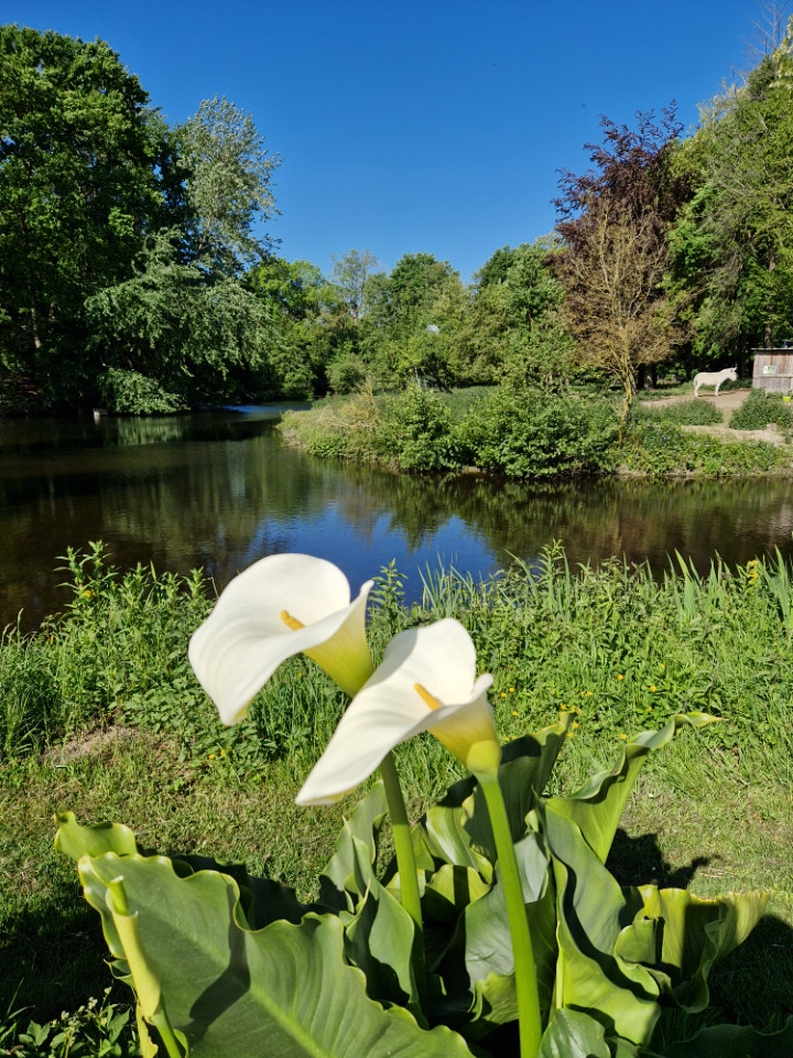 Hôte GreenGo: Eco-gîte et Yourte à l'Etang Présent