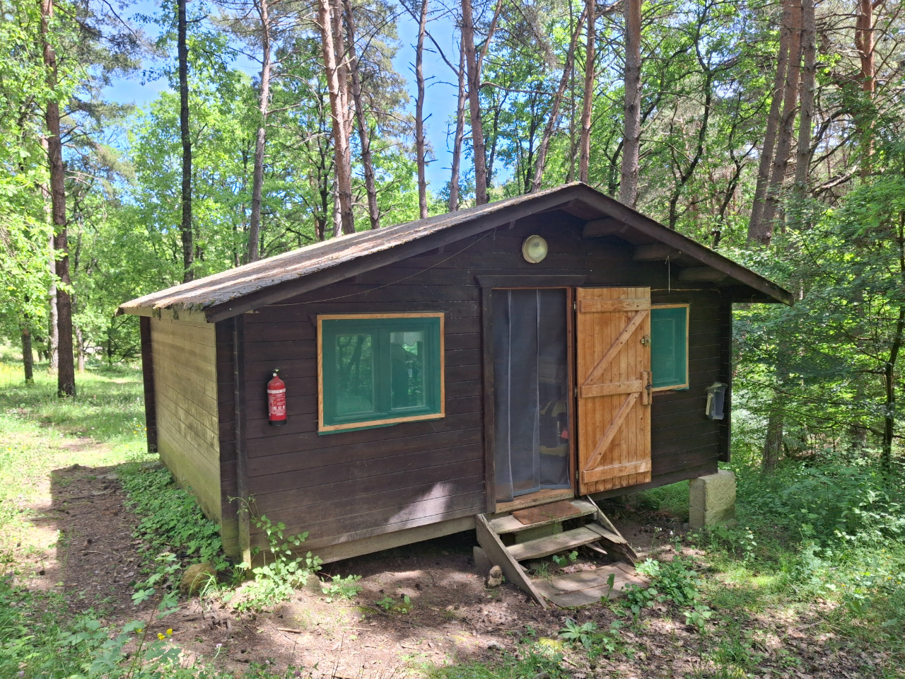 GreenGo Logement insolite Provence-Alpes-Côte d'Azur En forêt
