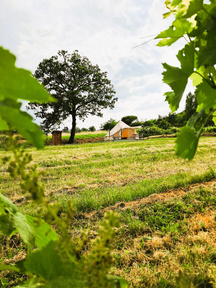 GreenGo location vacances écoresponsables