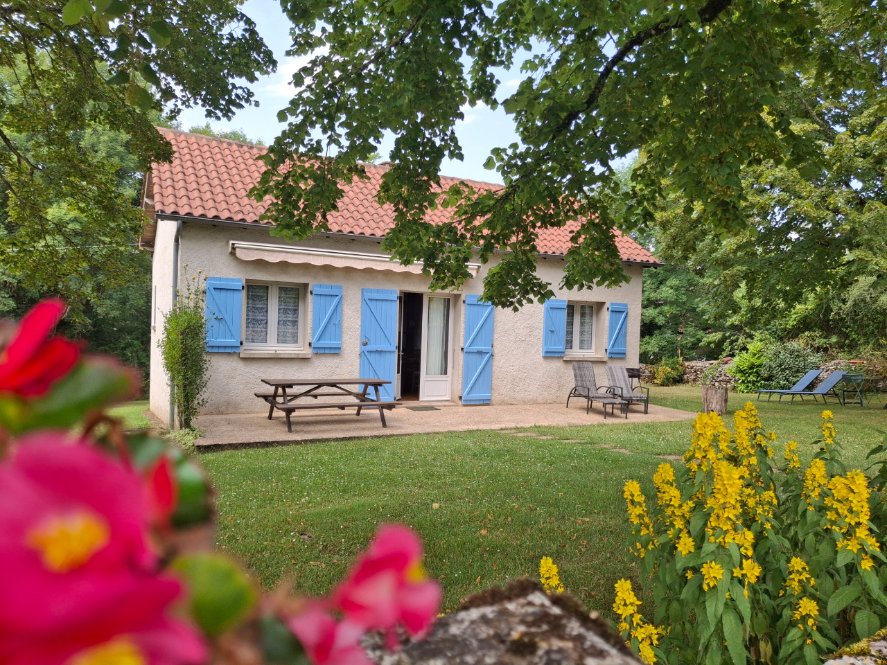 Lavande