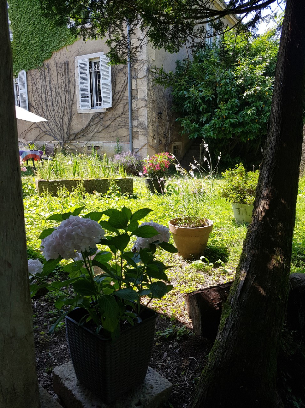 GreenGo Gîte Bourgogne-Franche-Comté Évasion