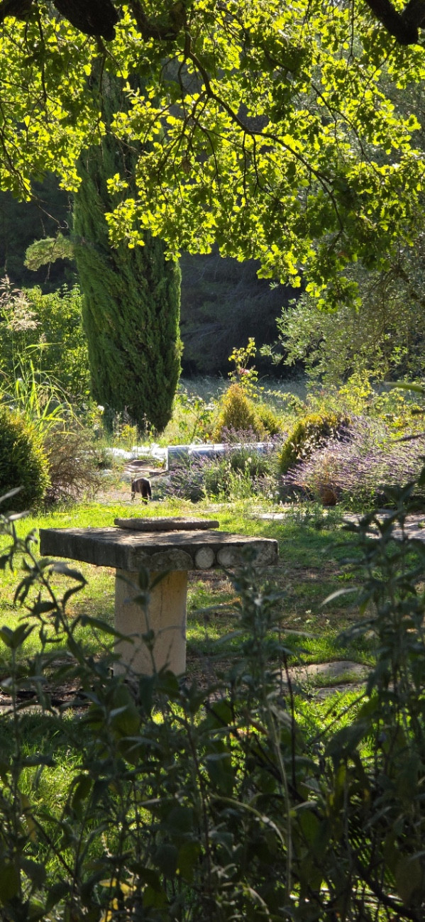 GreenGo La presqu’île de la rose