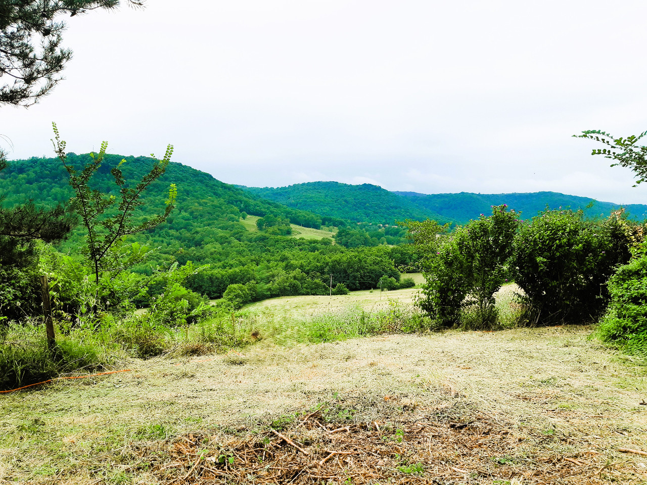 GreenGo location vacances écoresponsables