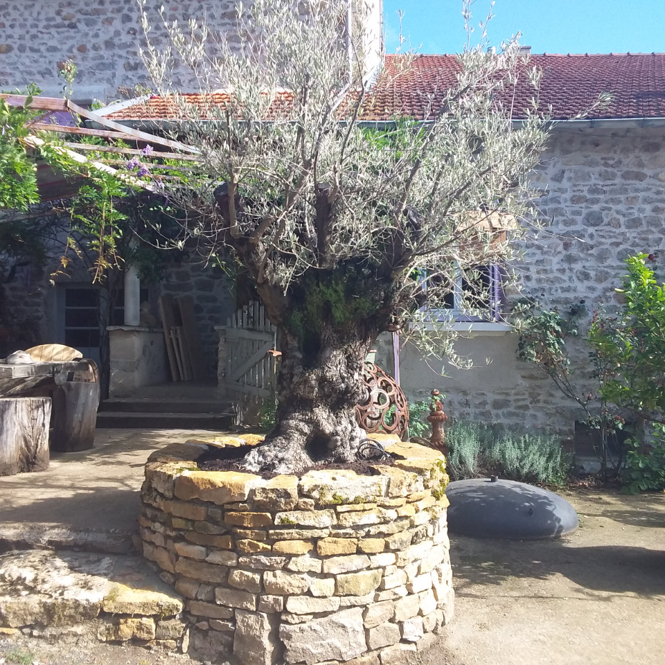 GreenGo Gîte Bourgogne-Franche-Comté Évasion