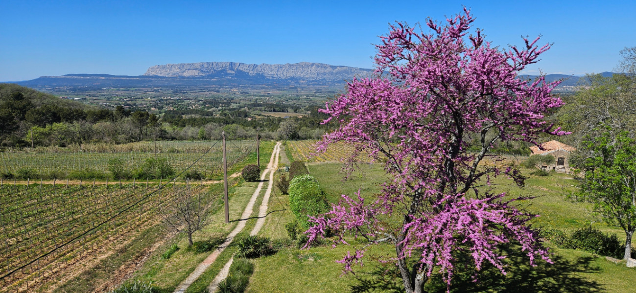 GreenGo Location Provence-Alpes-Côte d'Azur Évasion