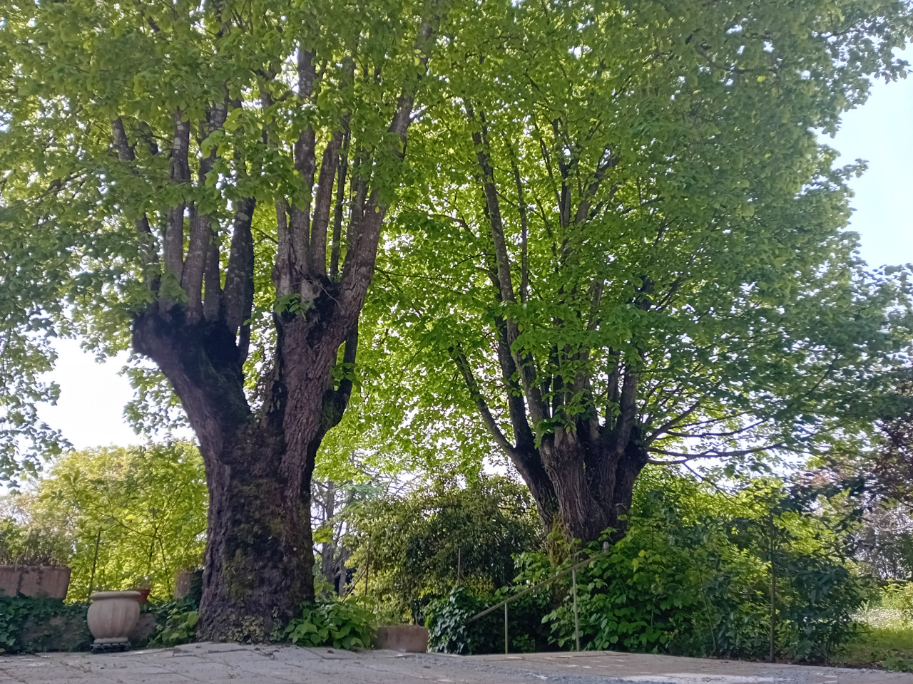 GreenGo Chambre d’hôtes Pays de la Loire À la campagne