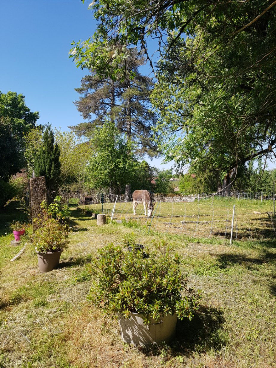 Chambre chez l’habitant Jura À la campagne