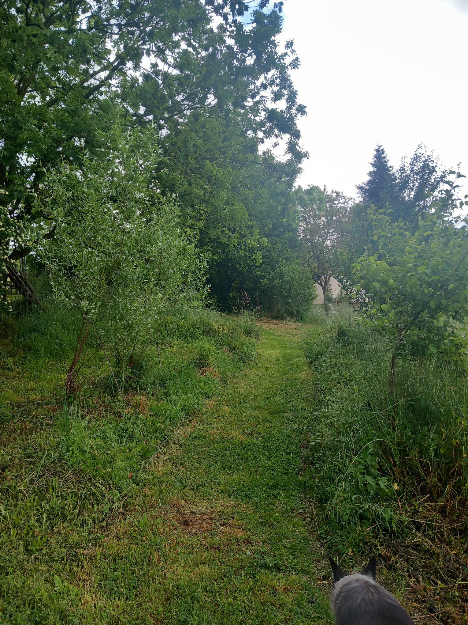 GreenGo Logement insolite Occitanie Glamping