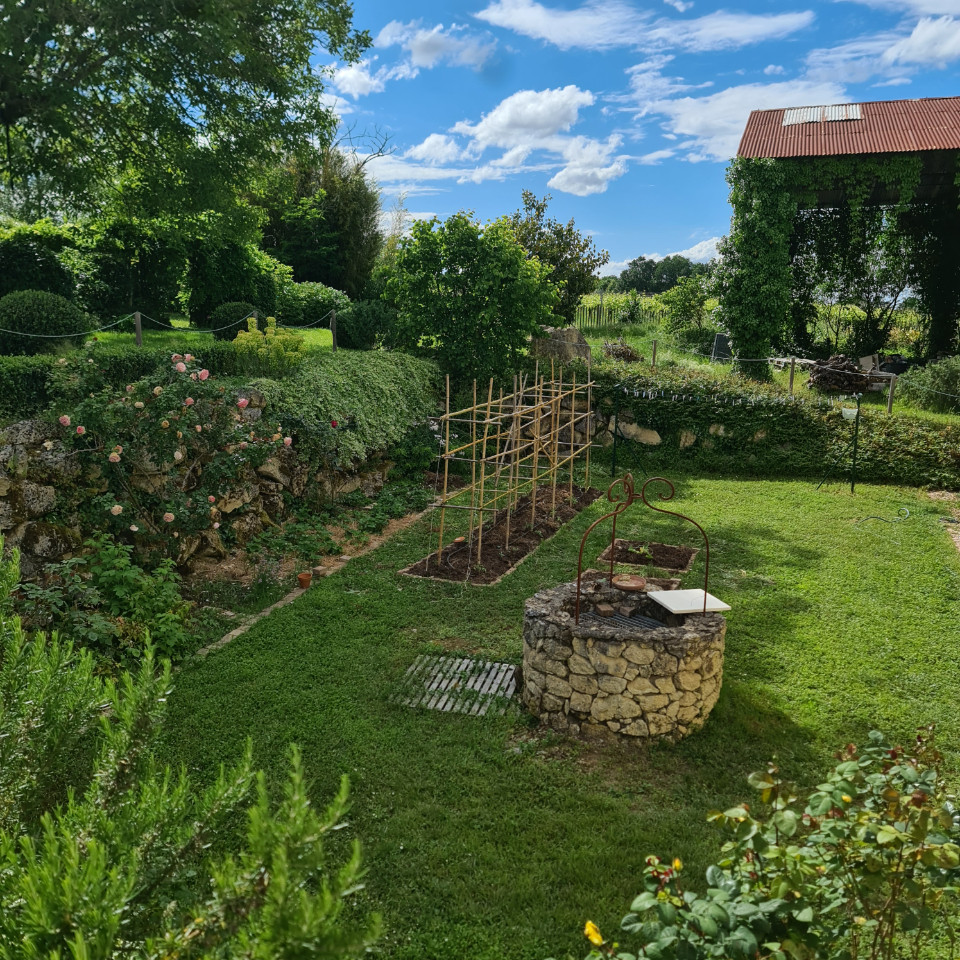 GreenGo Un olivier en Gironde
