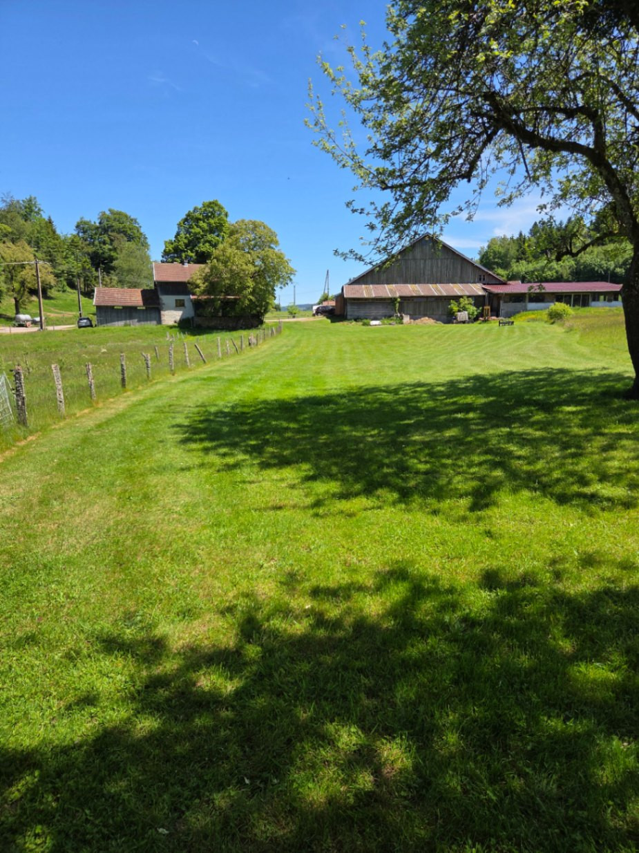 Vosges Gîte de groupe