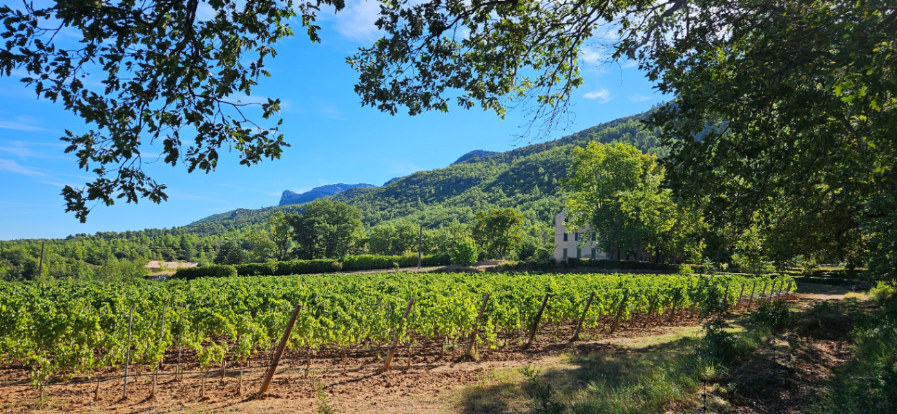 GreenGo Domaine la Boucharde - entre vignes et forêt
