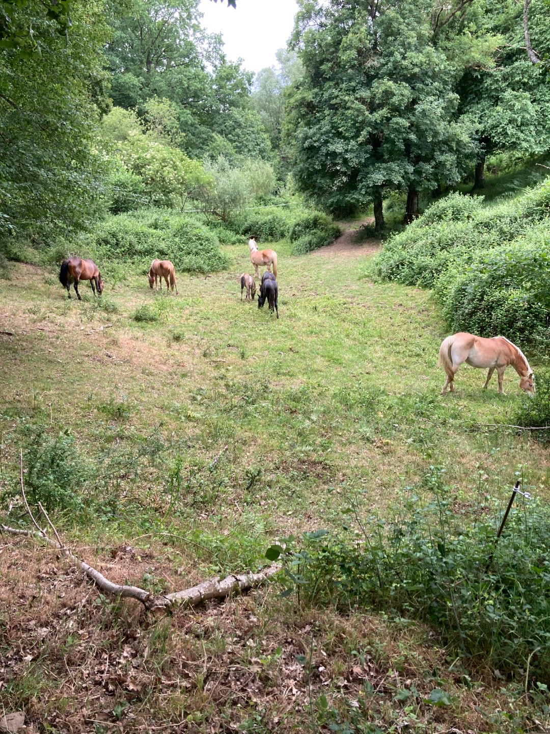 Logement insolite Allier À la campagne