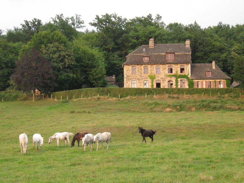 GreenGo Chambre d’hôtes Nouvelle-Aquitaine Évasion