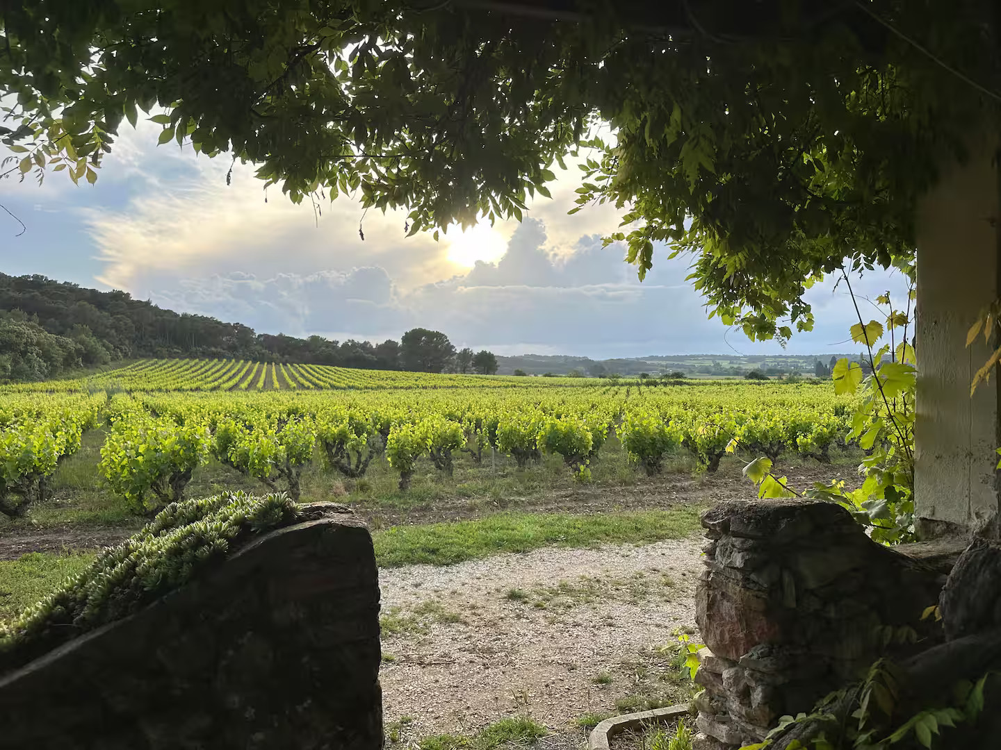Logement insolite Vaucluse Glamping
