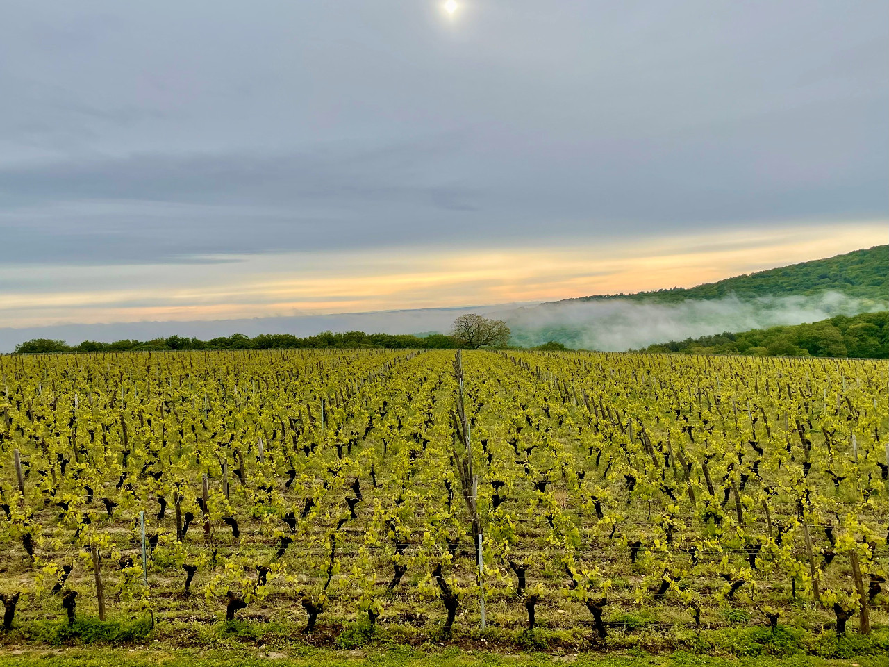 GreenGo Logement insolite Bourgogne-Franche-Comté Évasion