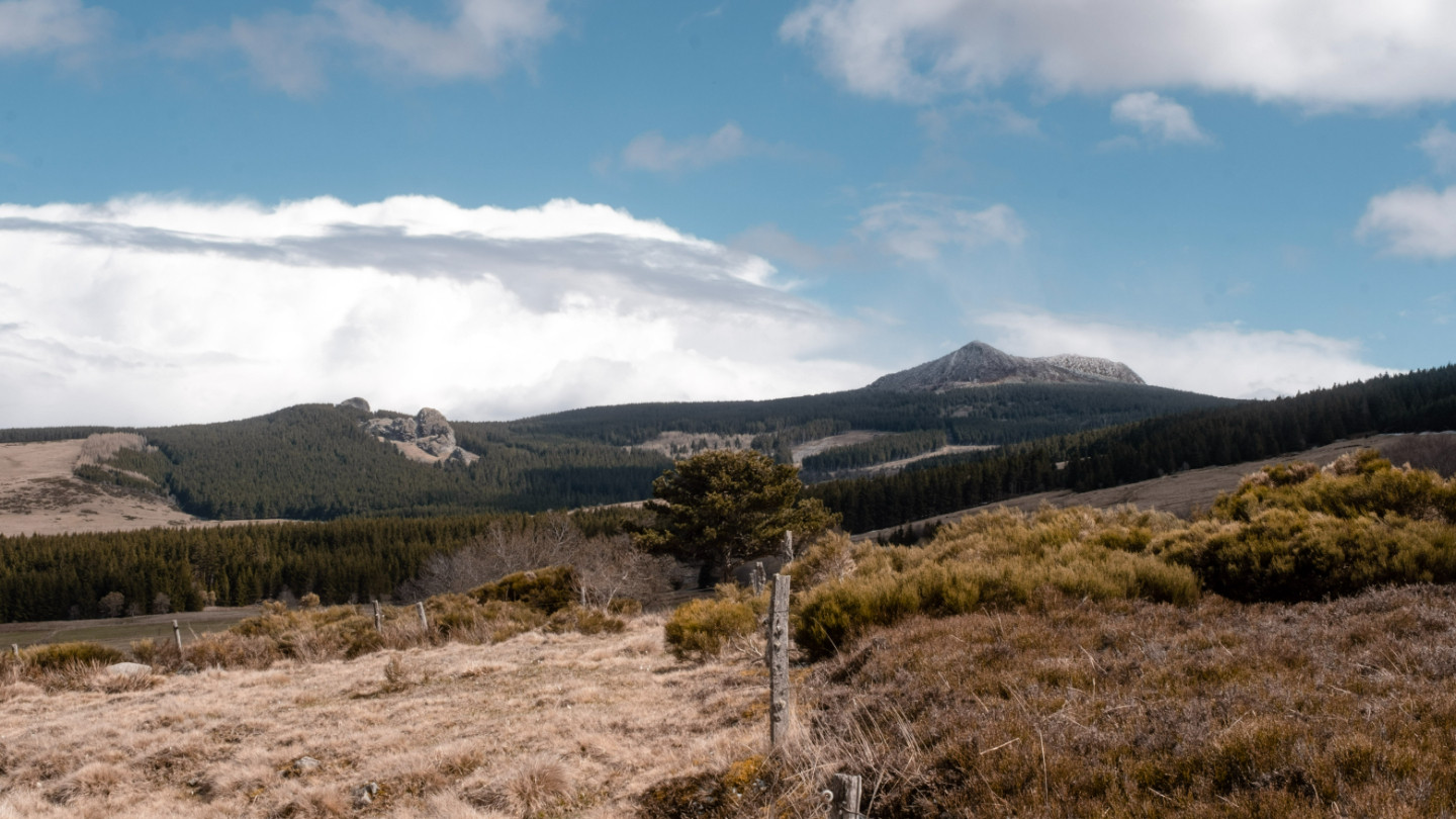 GreenGo Gîte la Draï - l'âme du trappeur au pied d'un volcan