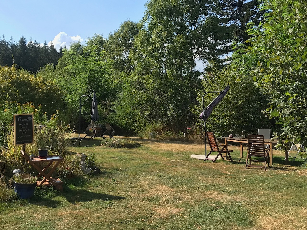  Haute-Loire En forêt
