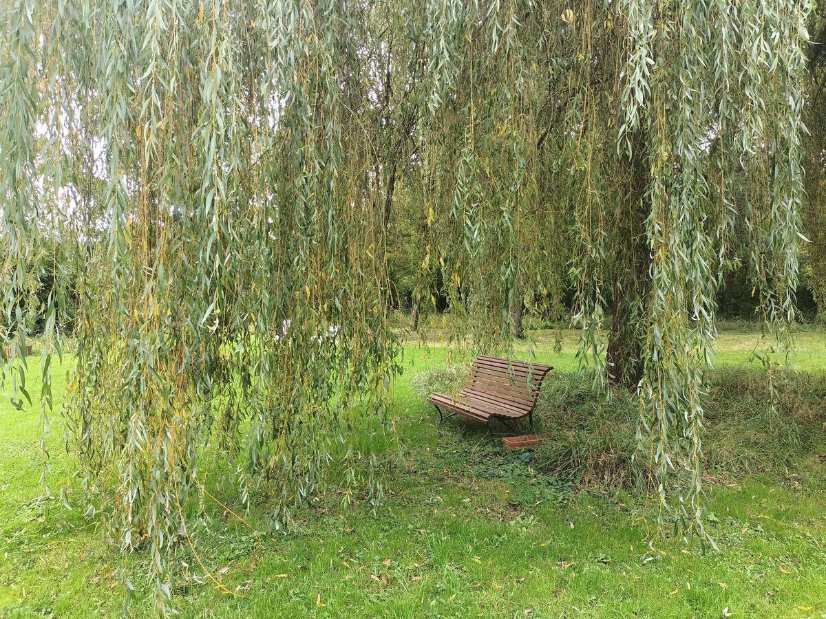 GreenGo Location Auvergne-Rhône-Alpes Évasion