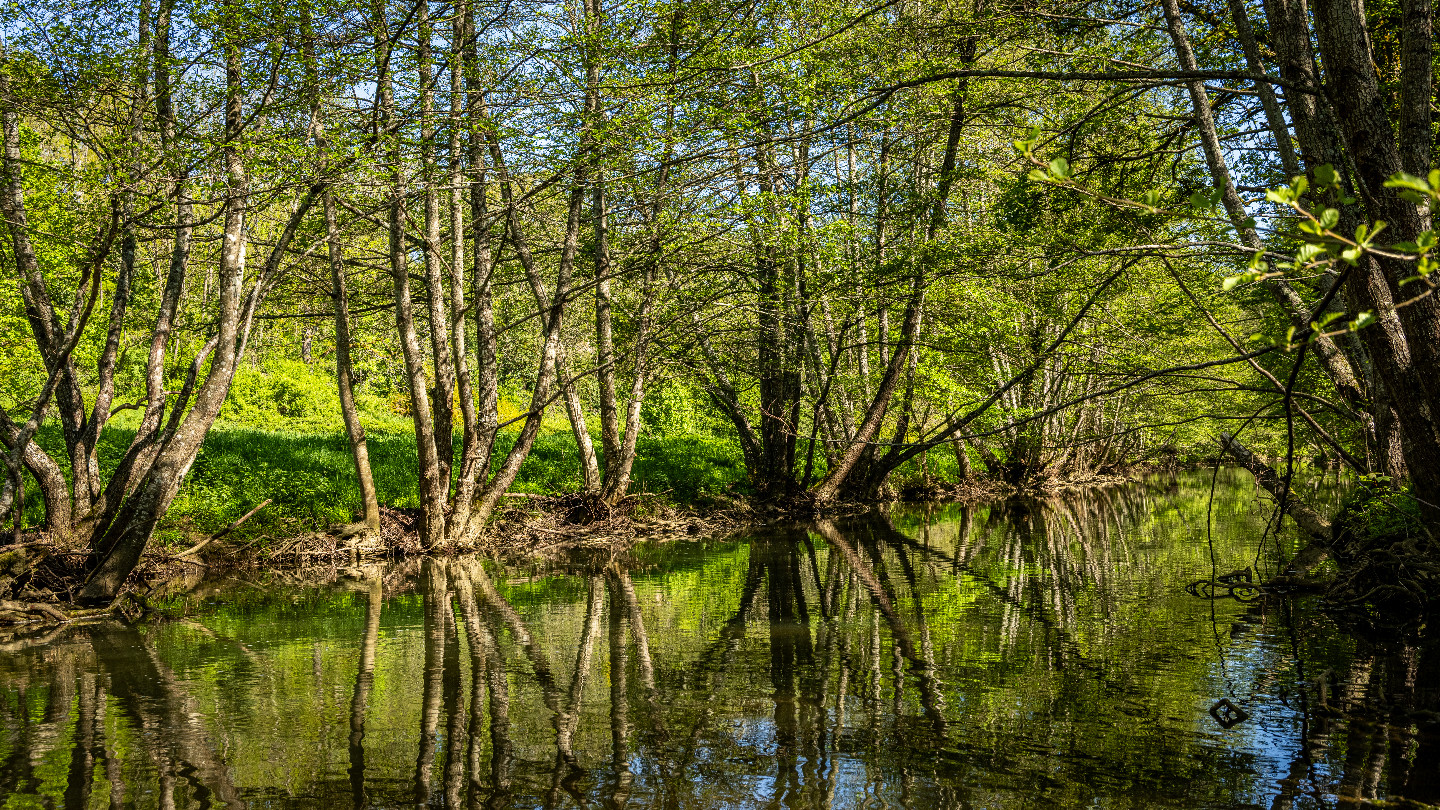 GreenGo Le Moulin de l'O
