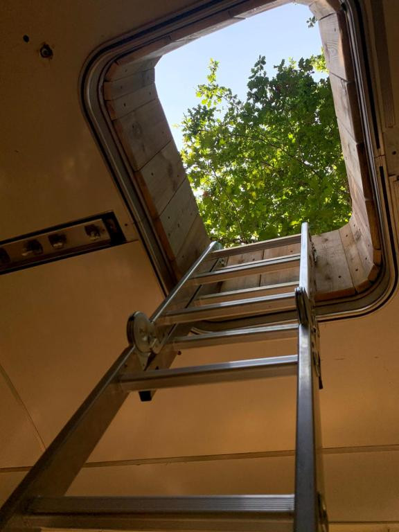 GreenGo Fantastic Bus 2 etage