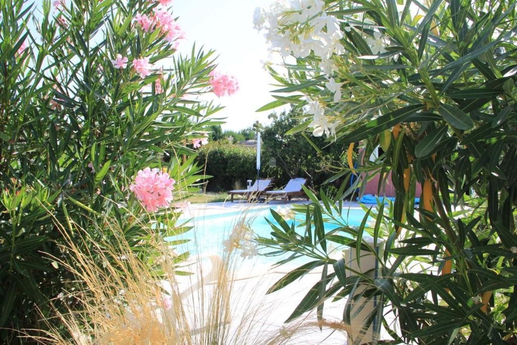 GreenGo location vacances écoresponsables