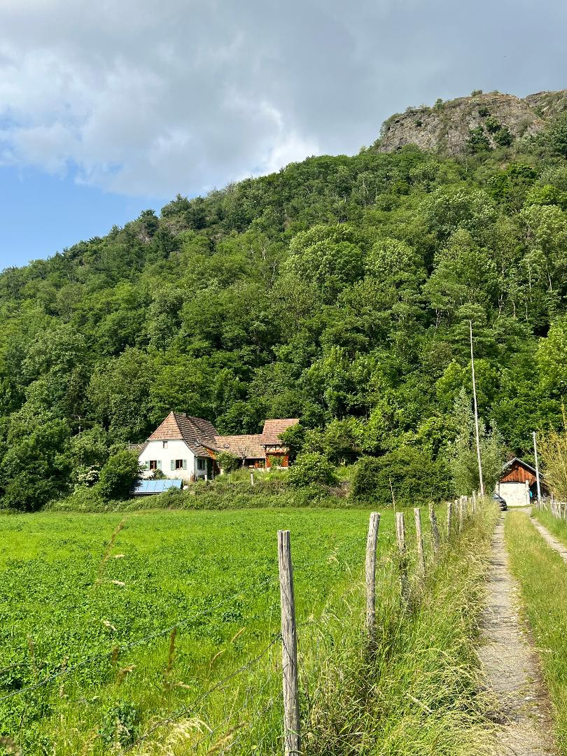 Hôte GreenGo: En lisière de forêt