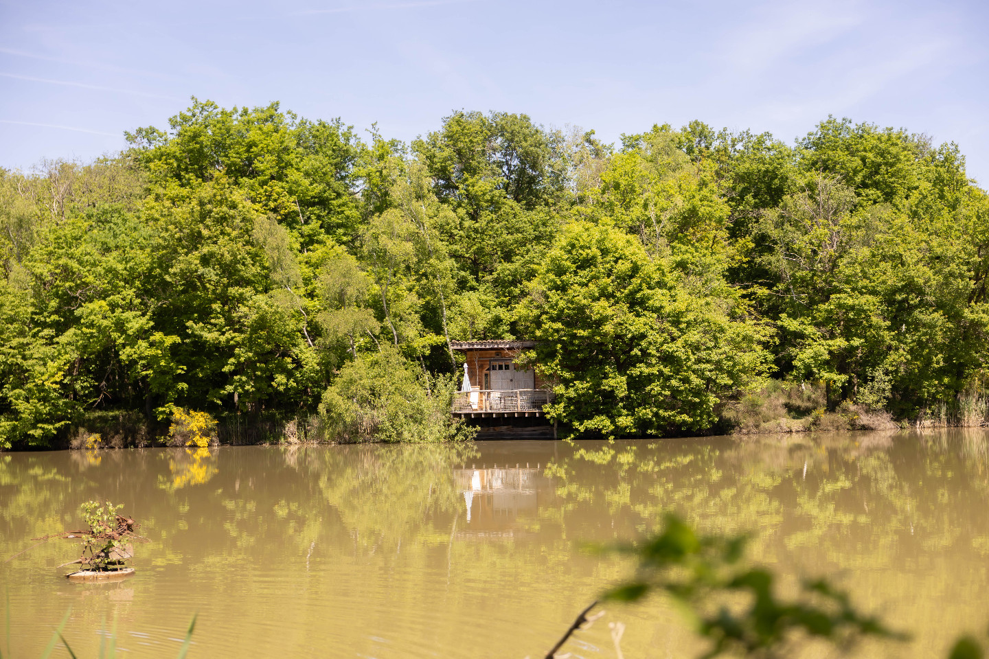GreenGo Home des bois