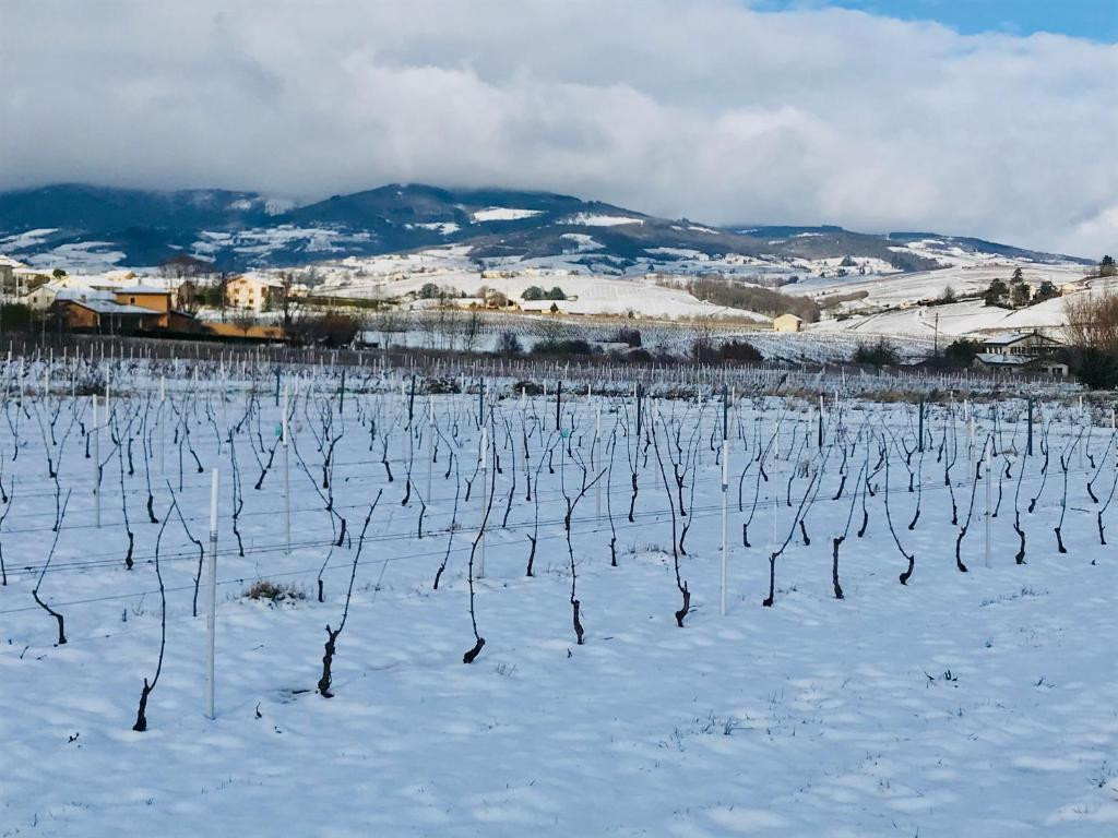 Rhône À la campagne