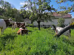 Hôte GreenGo: La Louve chez Valérie