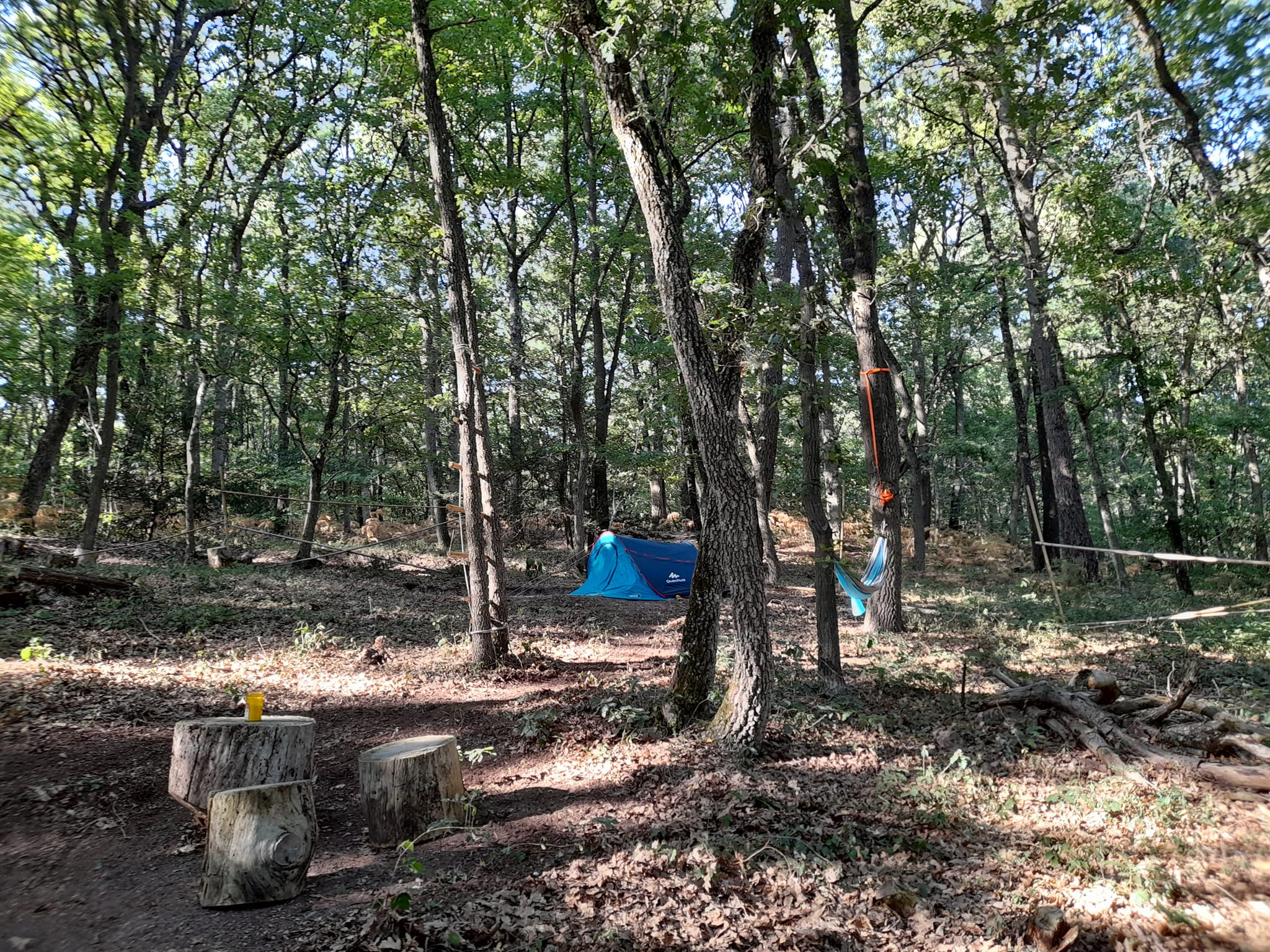 Camping Maine-et-Loire En forêt