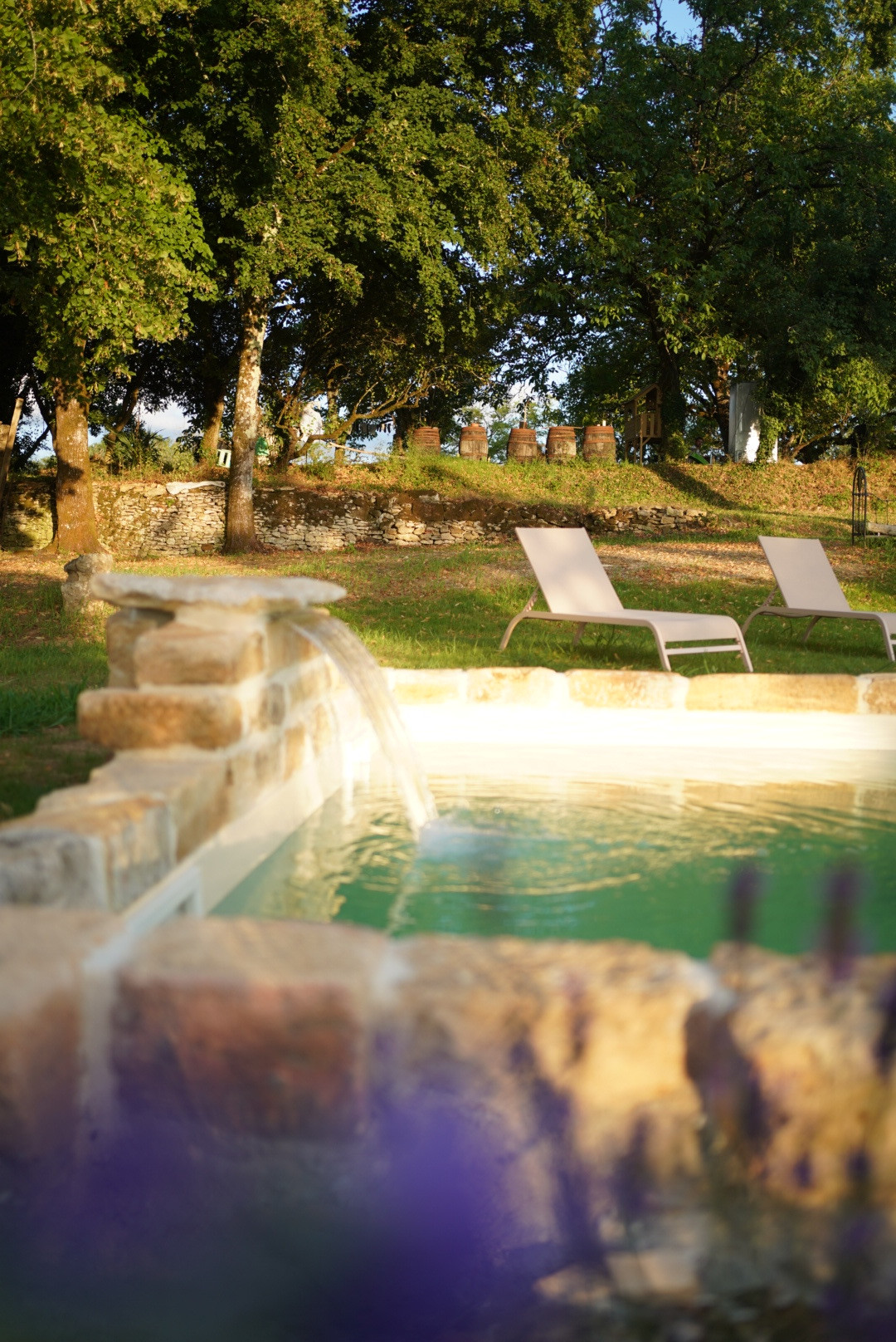 GreenGo Chambre d’hôtes Nouvelle-Aquitaine Évasion