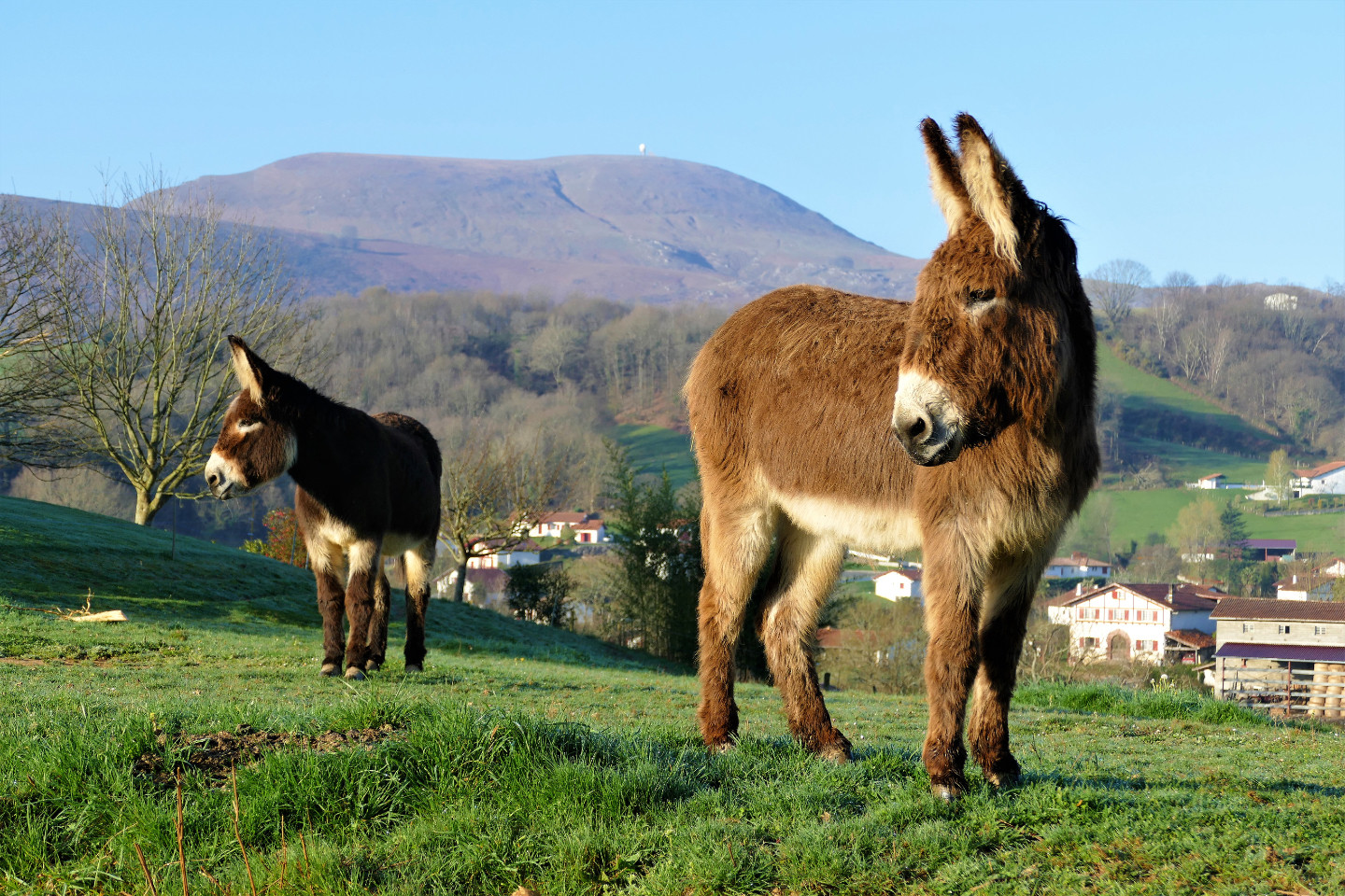 GreenGo Gîte Nouvelle-Aquitaine Évasion