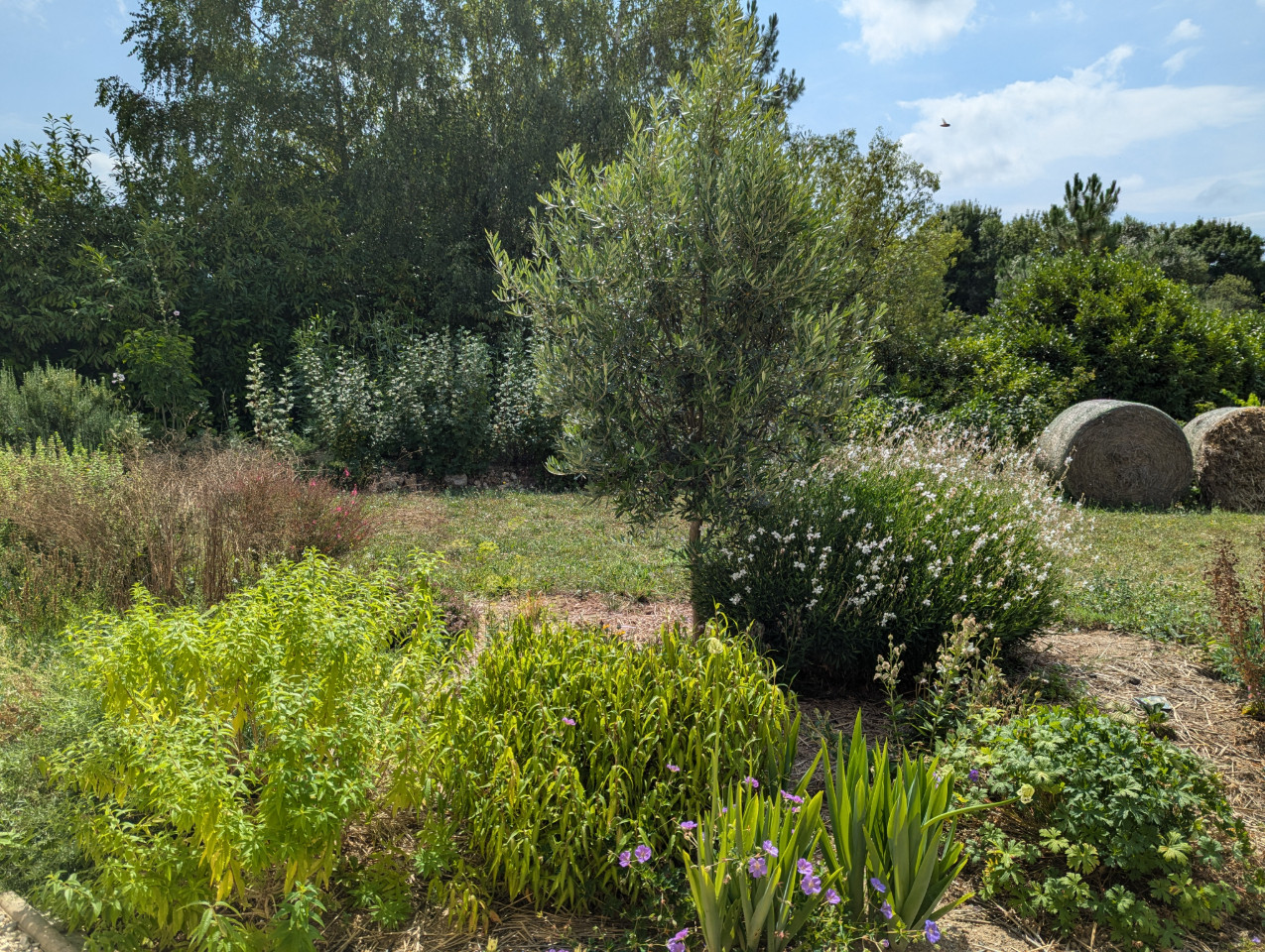 GreenGo Gîte Nouvelle-Aquitaine Évasion