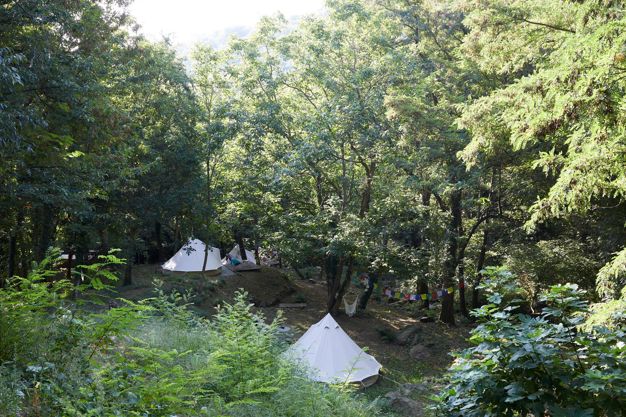 GreenGo Moulin du Chaze Merle