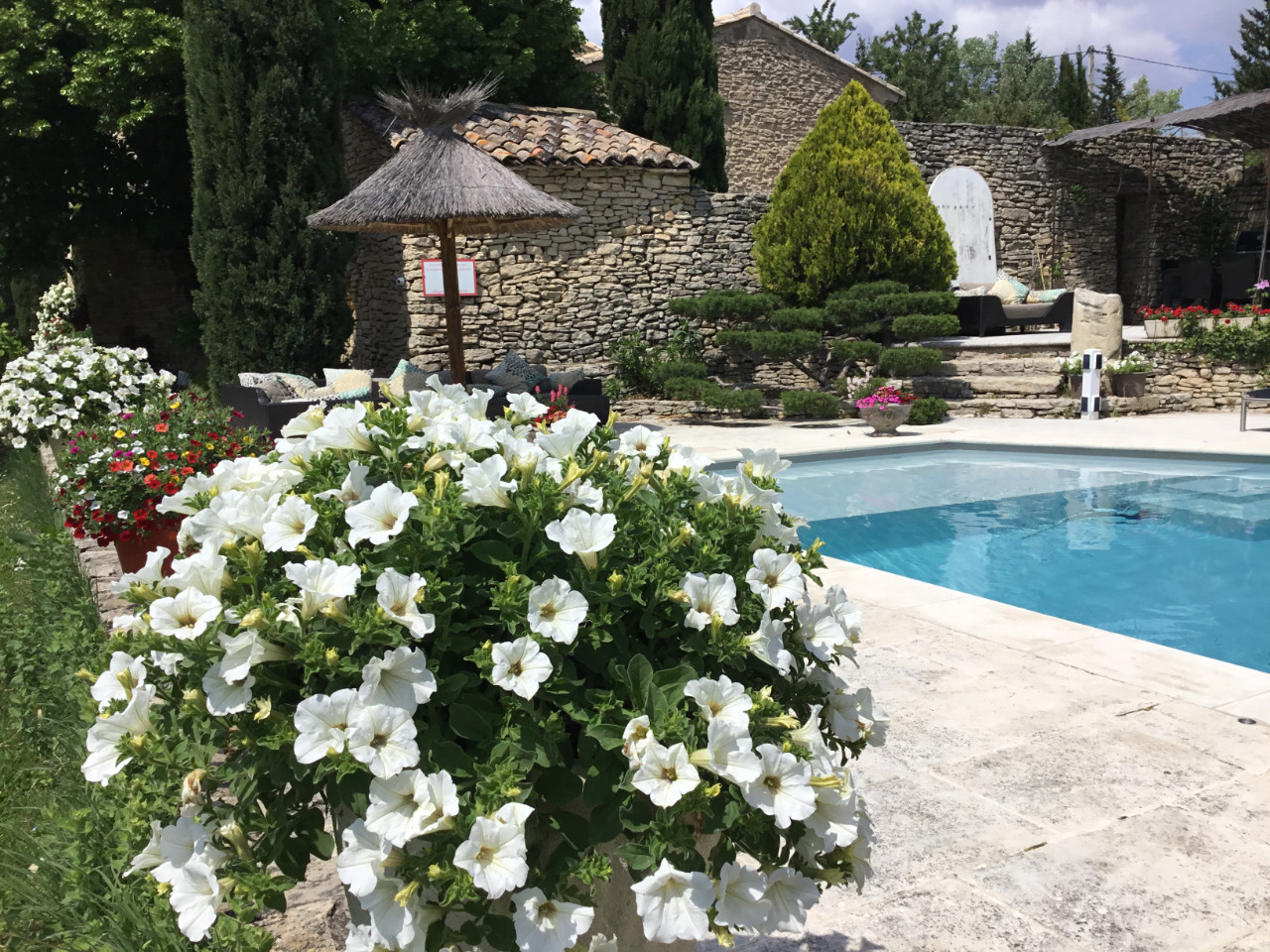 GreenGo location vacances écoresponsables