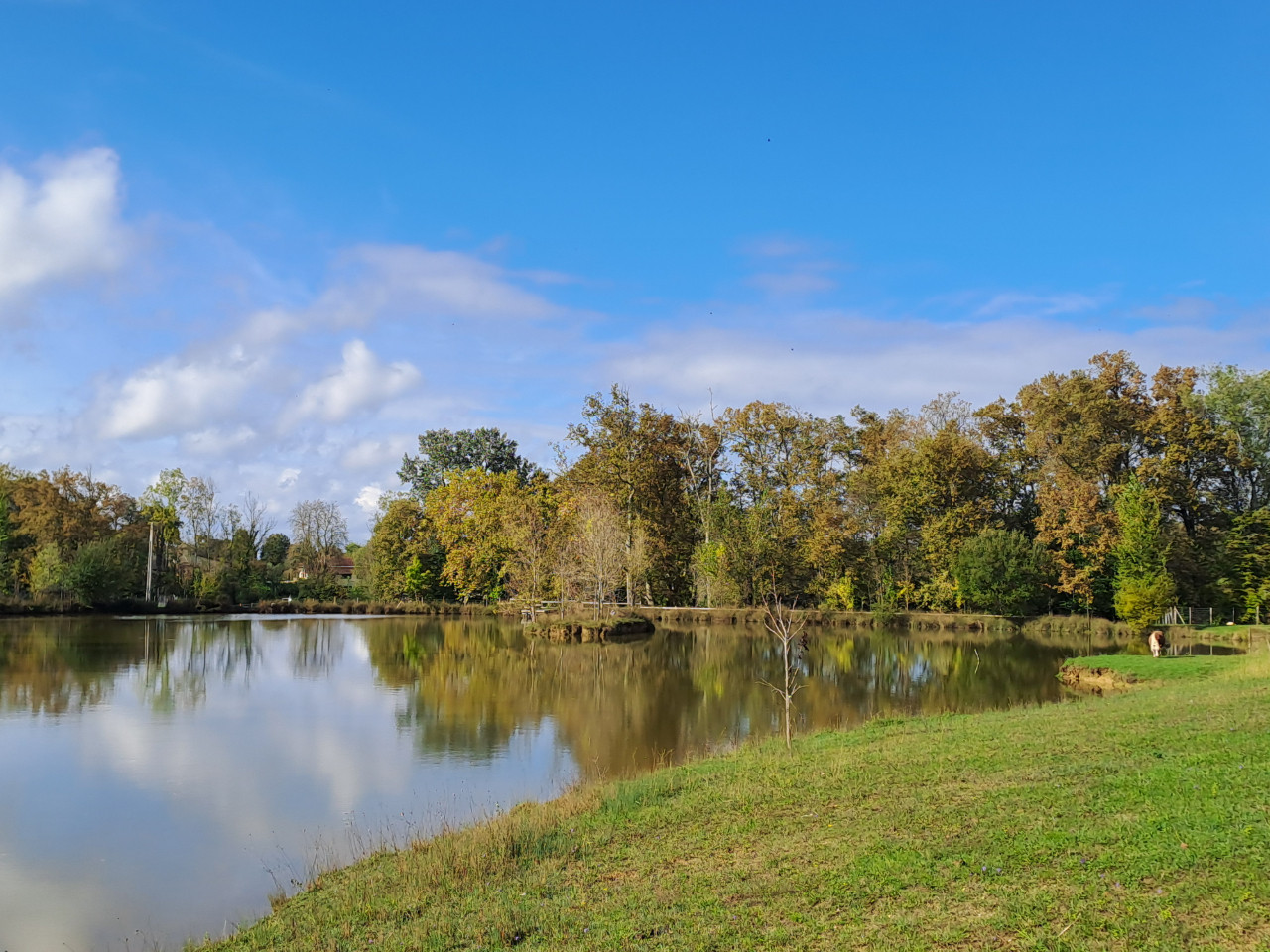 GreenGo location vacances écoresponsables