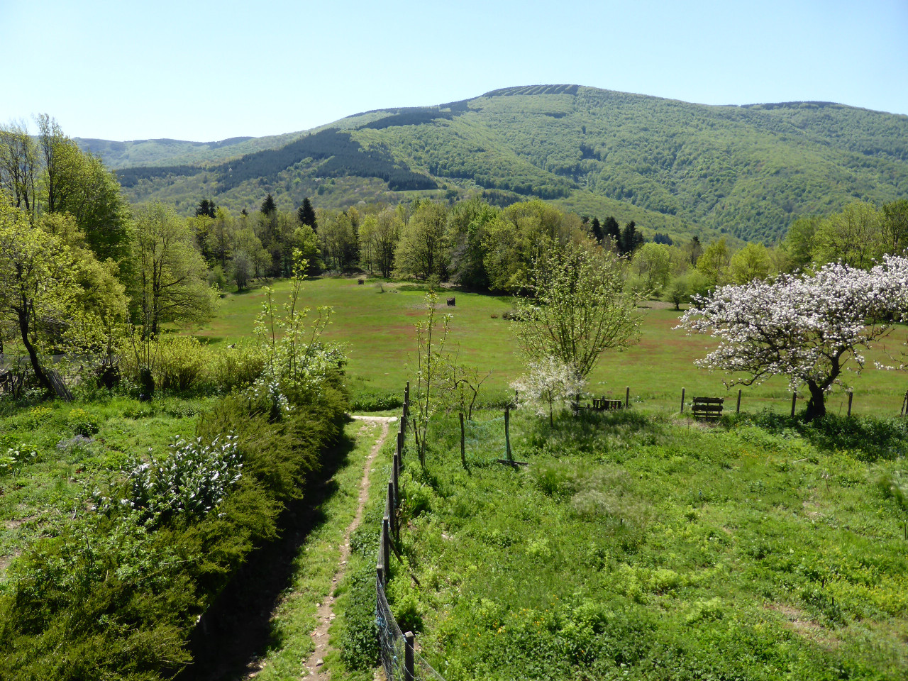 GreenGo Gîte Occitanie Évasion