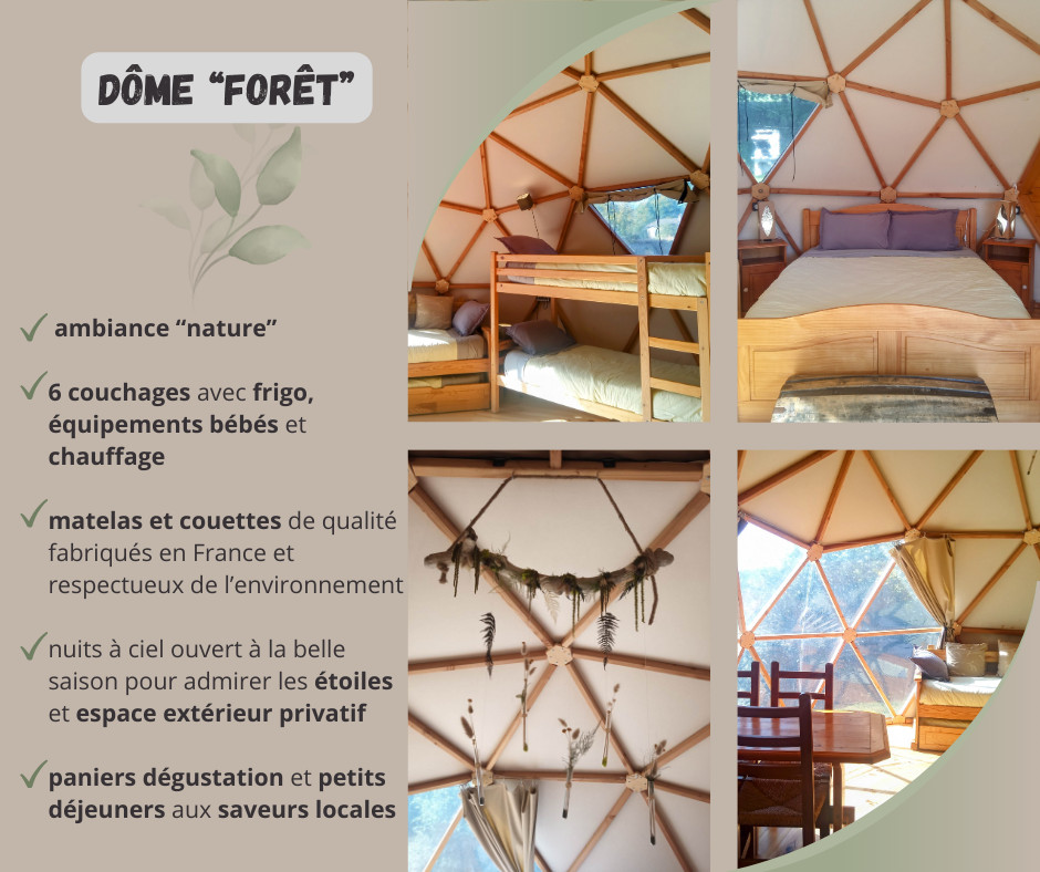GreenGo The Mush's rooms_rêver avec les alpagas
