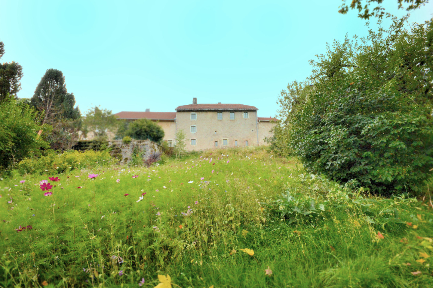 GreenGo location vacances écoresponsables