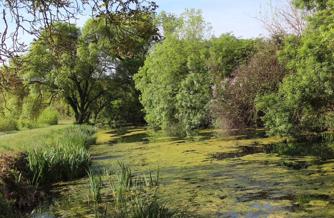GreenGo Chambre d’hôtes Occitanie Évasion