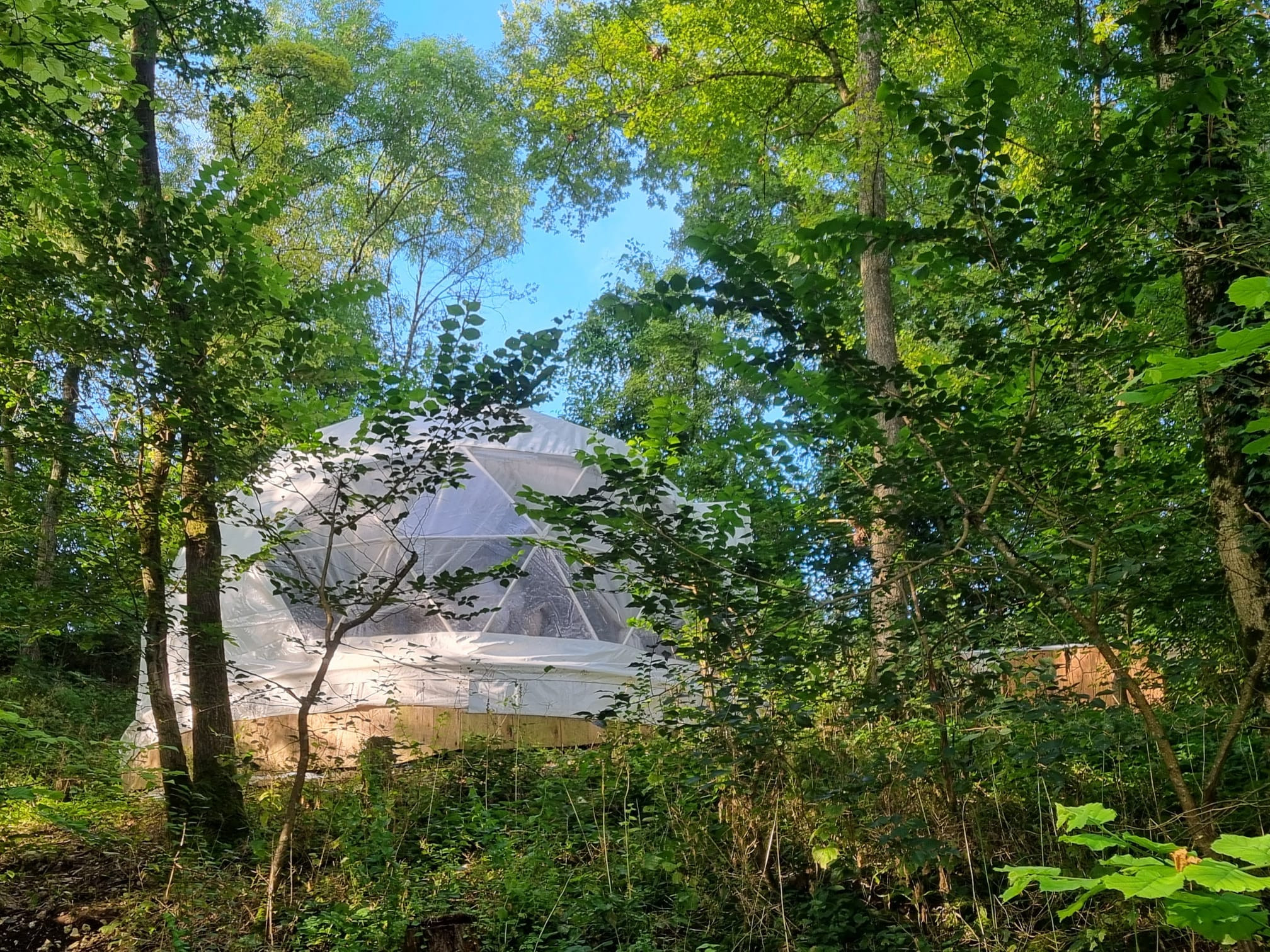 GreenGo location vacances écoresponsables