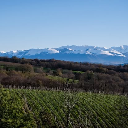 GreenGo location vacances écoresponsables