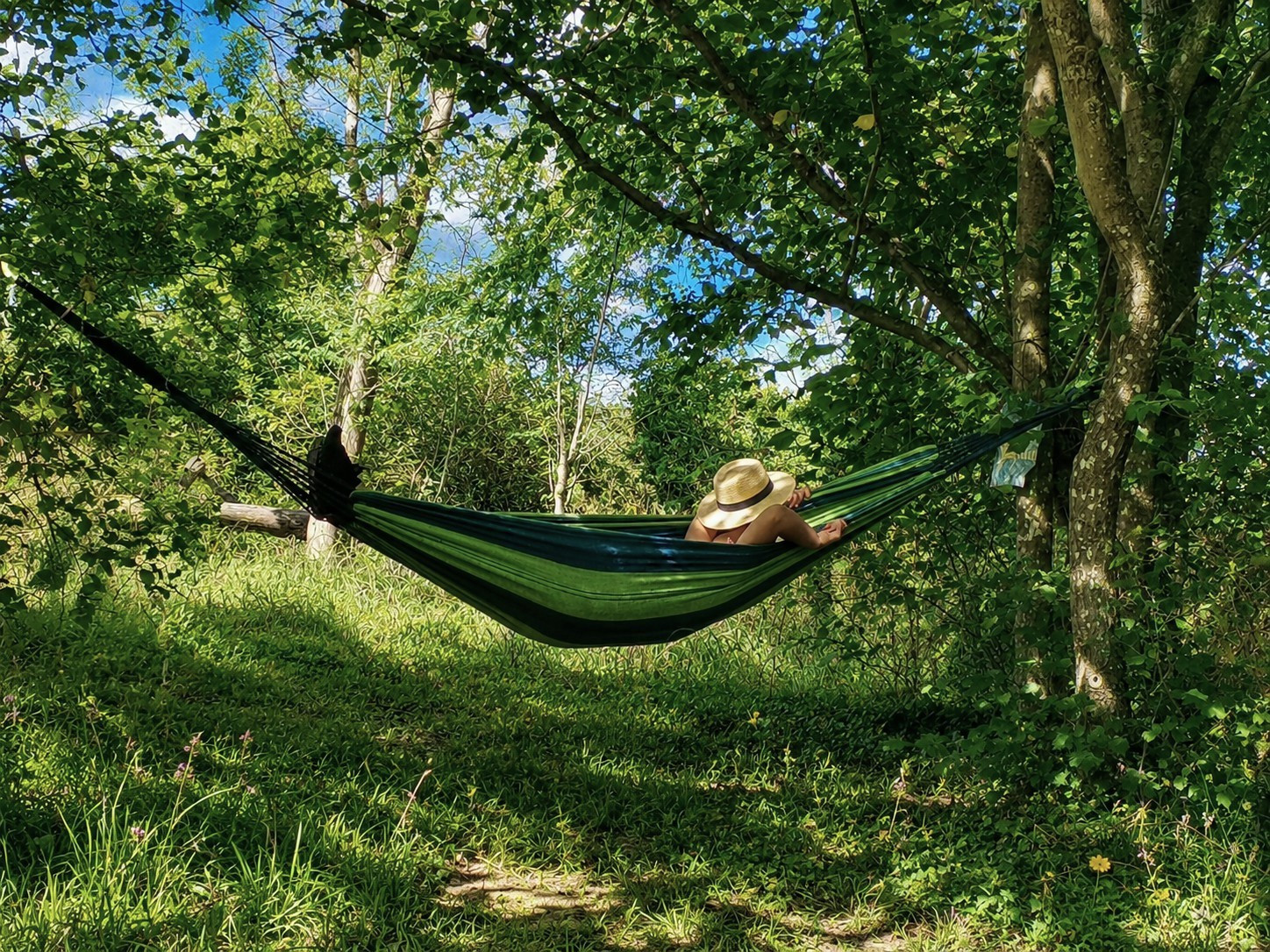 GreenGo location vacances écoresponsables