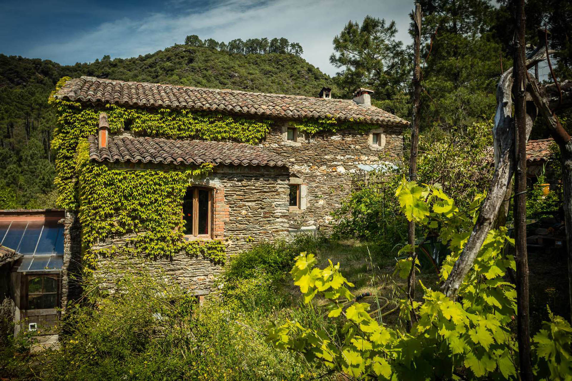 Mas cévennes, piscine naturelle, charme exception