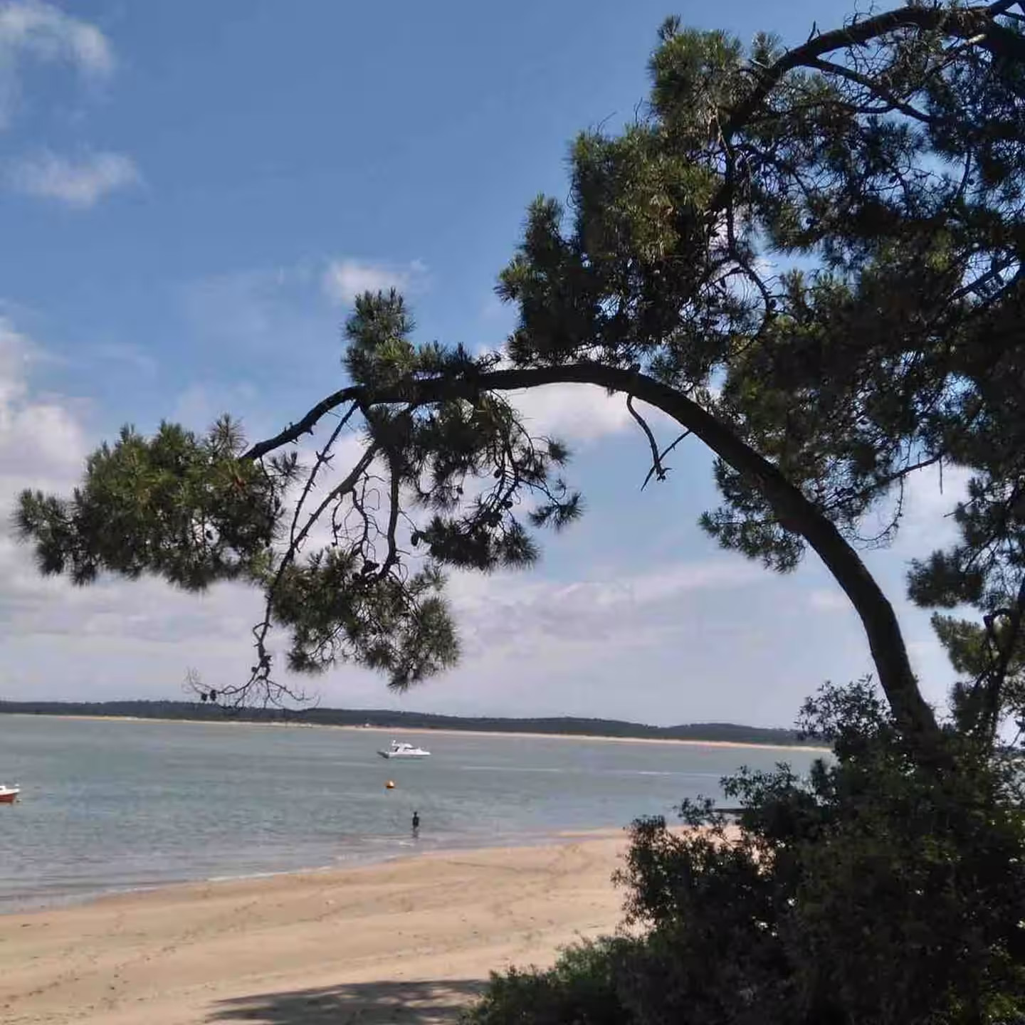 GreenGo location vacances écoresponsables