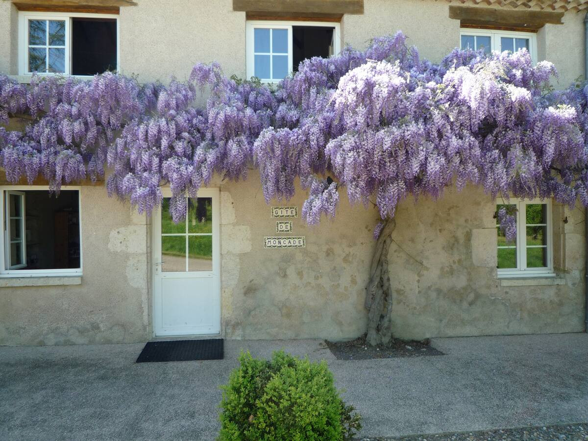 Gers Gîte de groupe